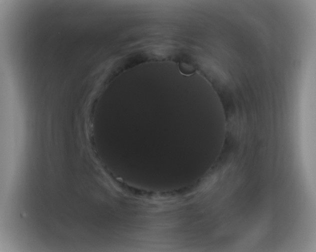 X0000113851009200910010956