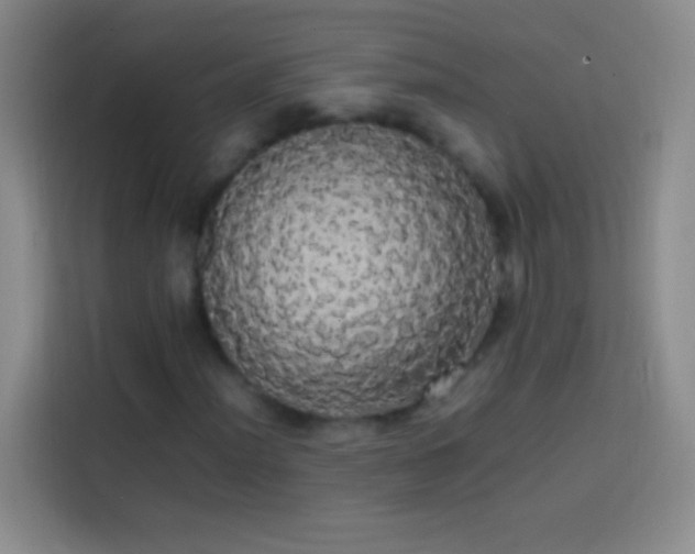 X0000113851012200910010956