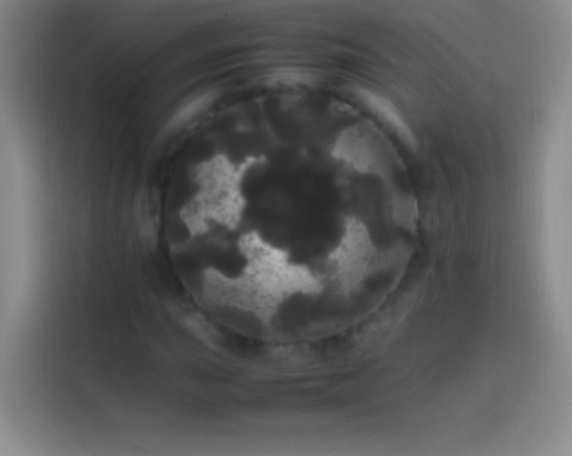 X0000113851015200910010956