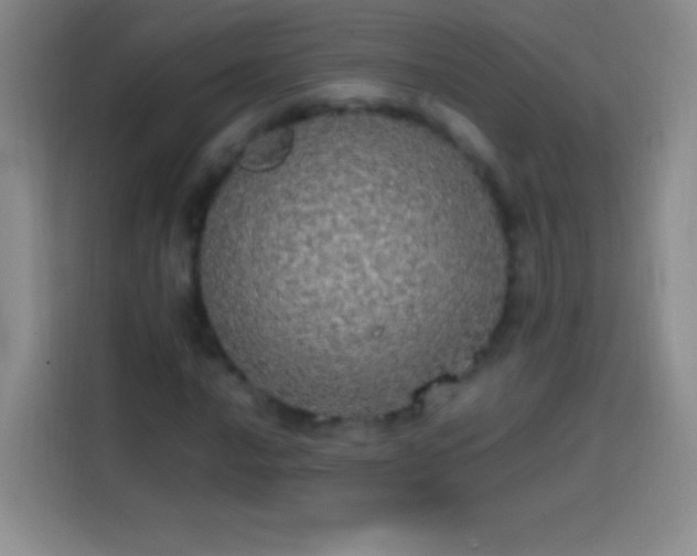 X0000113851016200910010956