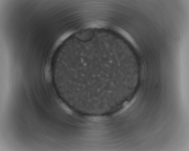 X0000113851018200910010956