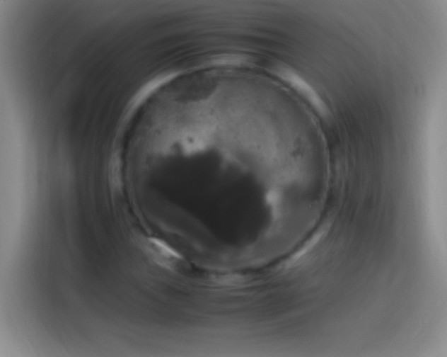 X0000113851019200910010956