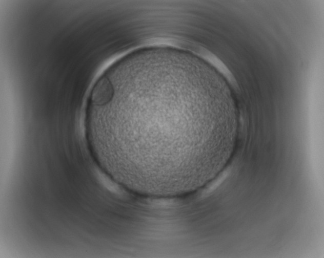 X0000113851020200910010956