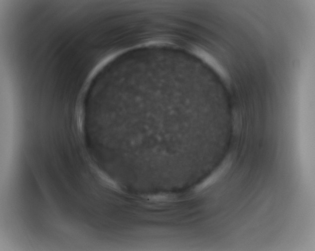 X0000113851021200910010956