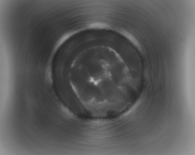 X0000113851022200910010956