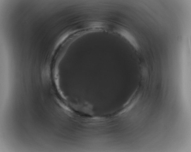 X0000113851023200910010956