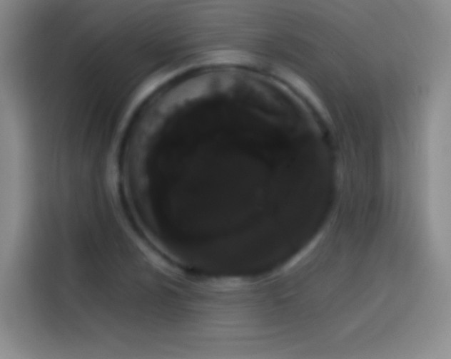 X0000113851024200910010956