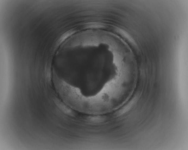 X0000113851025200910010956