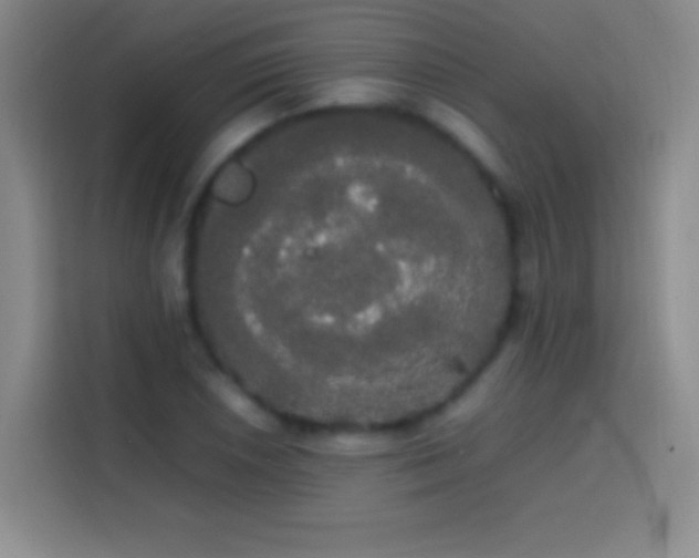 X0000113851026200910010956