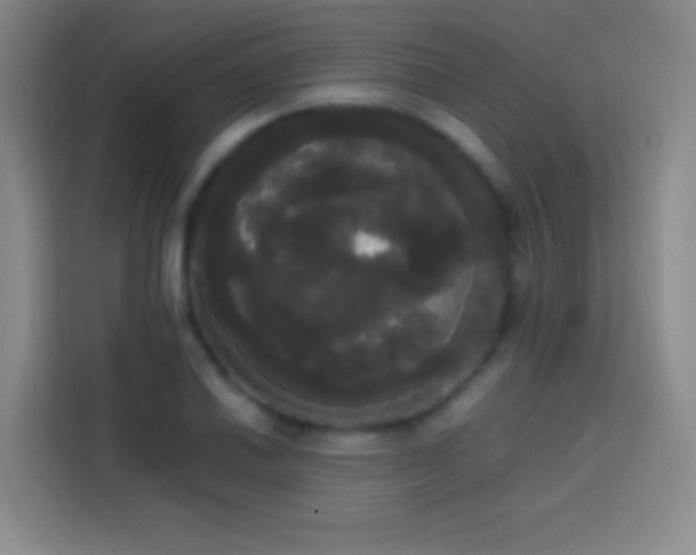 X0000113851030200910010956