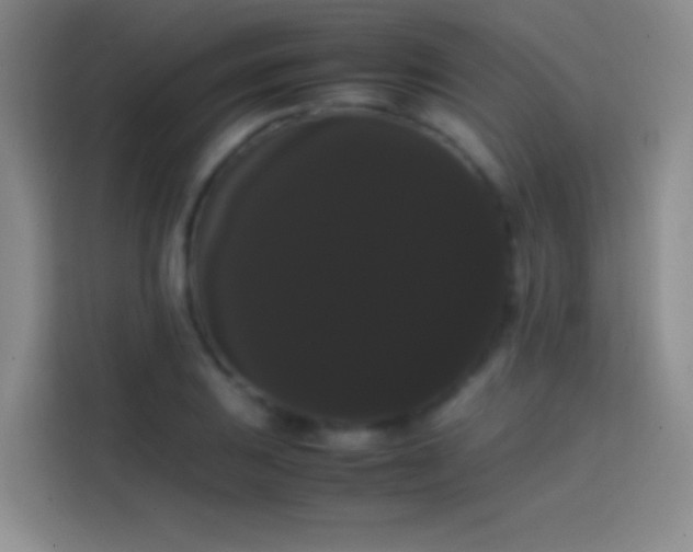 X0000113851031200910010956