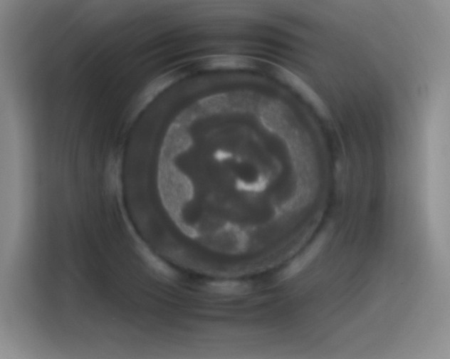 X0000113851033200910010956