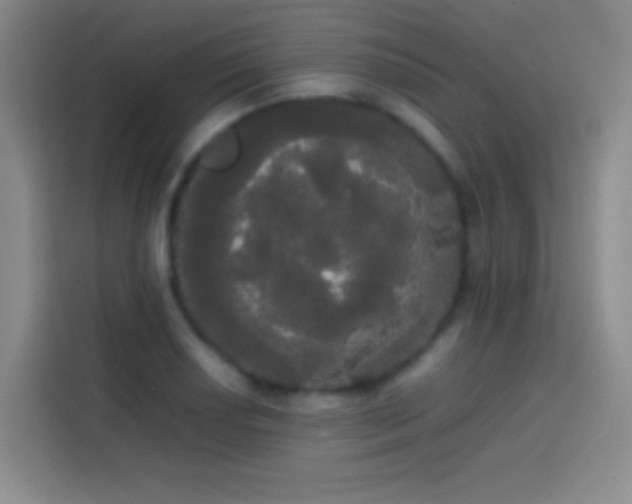 X0000113851034200910010957