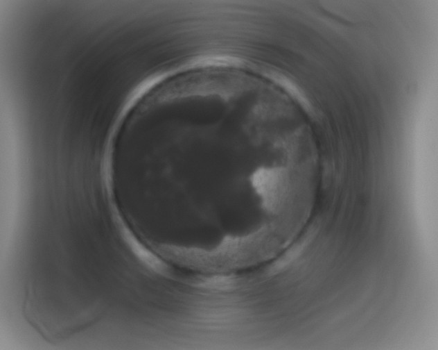 X0000113851038200910010957