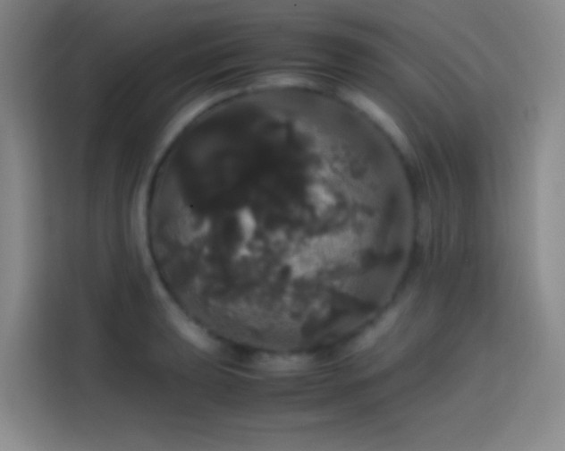 X0000113851039200910010957