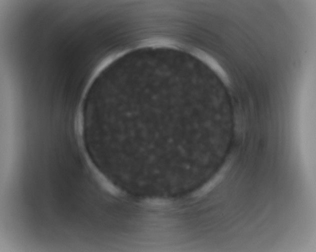 X0000113851040200910010957