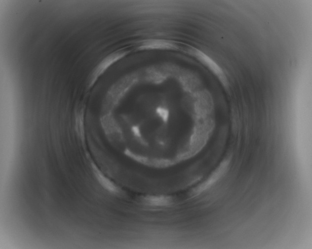 X0000113851041200910010957