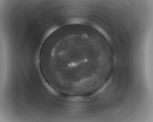 X0000113851042200910010957