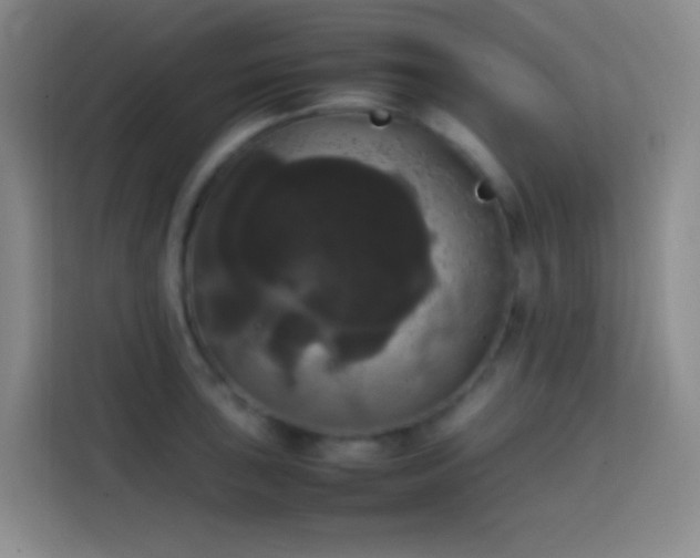 X0000113851043200910010957