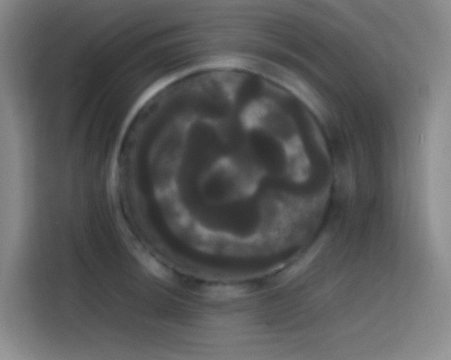 X0000113851044200910010957