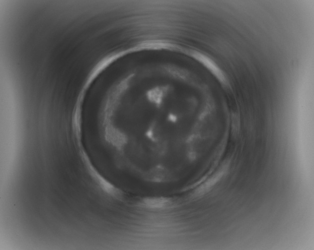 X0000113851046200910010957