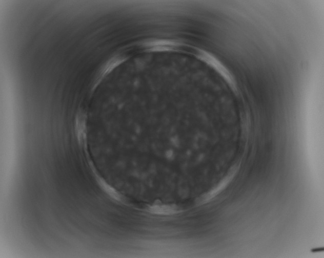 X0000113851049200910010957