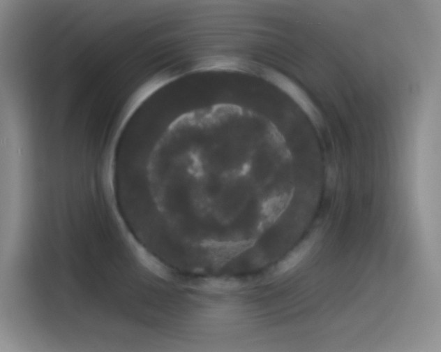 X0000113851050200910010957