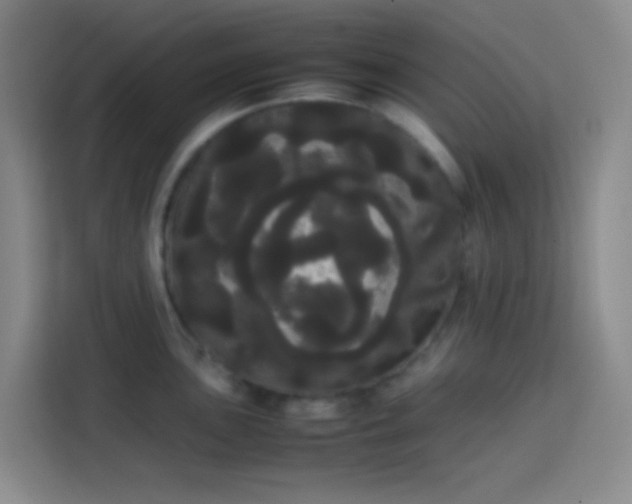 X0000113851051200910010957