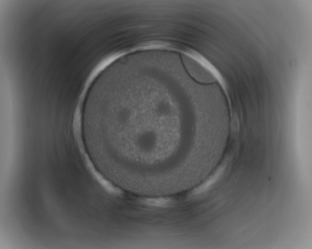 X0000113851053200910010957