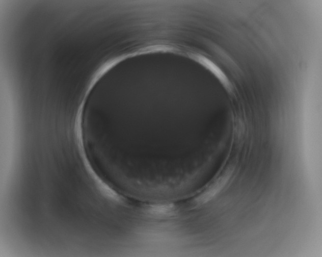 X0000113851055200910010957