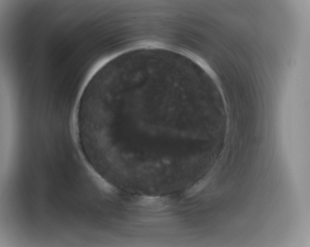 X0000113851056200910010957