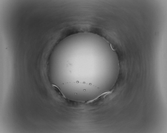 X0000113851057200910010956