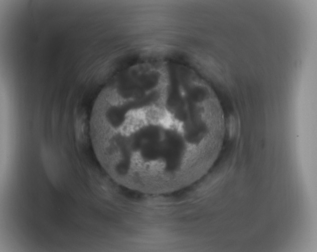 X0000113851059200910010956