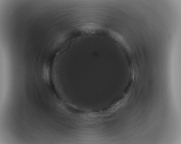 X0000113851060200910010956