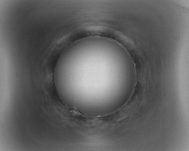 X0000113851061200910010956