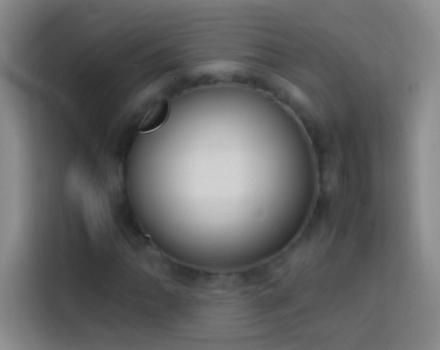 X0000113851062200910010956