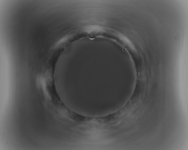 X0000113851063200910010956