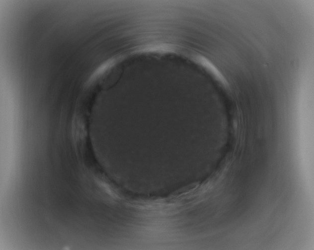 X0000113851064200910010956