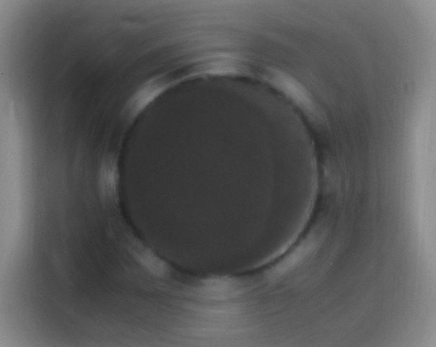 X0000113851065200910010956