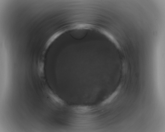 X0000113851066200910010956