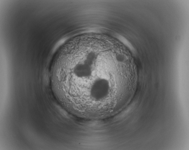 X0000113851067200910010956