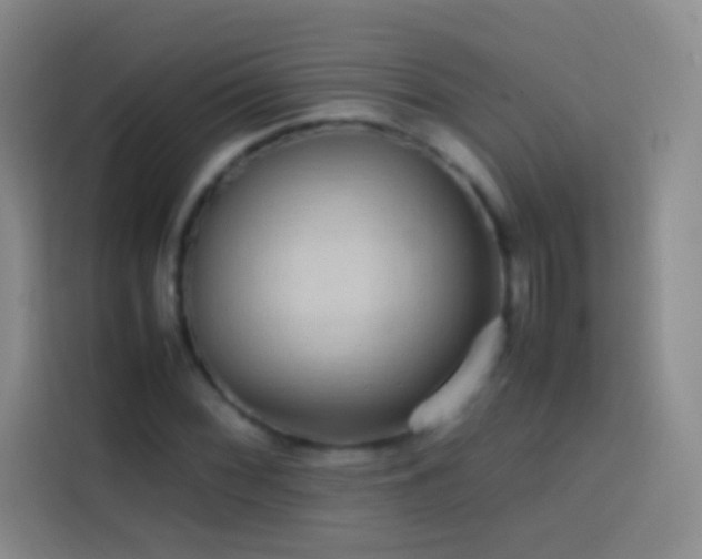 X0000113851068200910010956