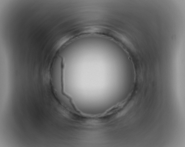 X0000113851073200910010956