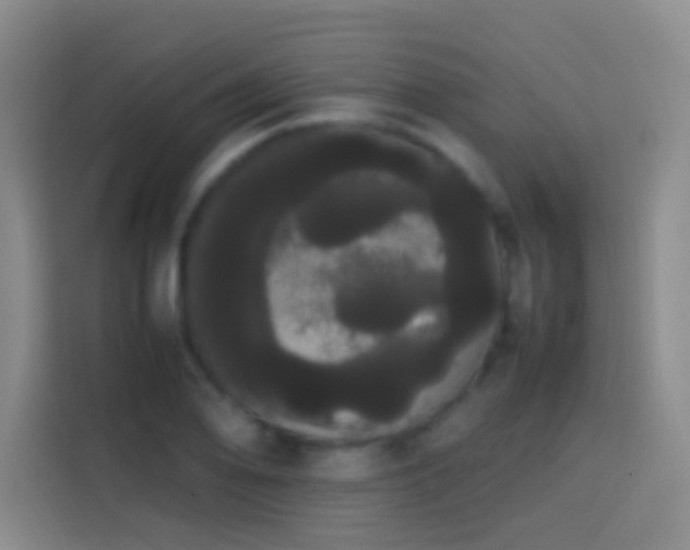 X0000113851078200910010956