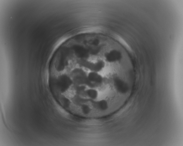 X0000113851079200910010956