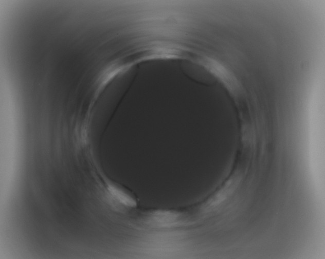 X0000113851081200910010956