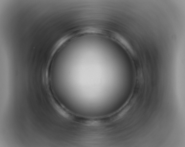 X0000113851082200910010956