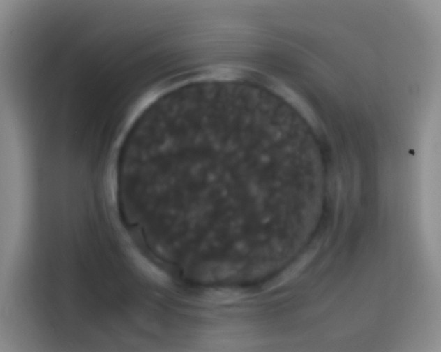 X0000113851083200910010956