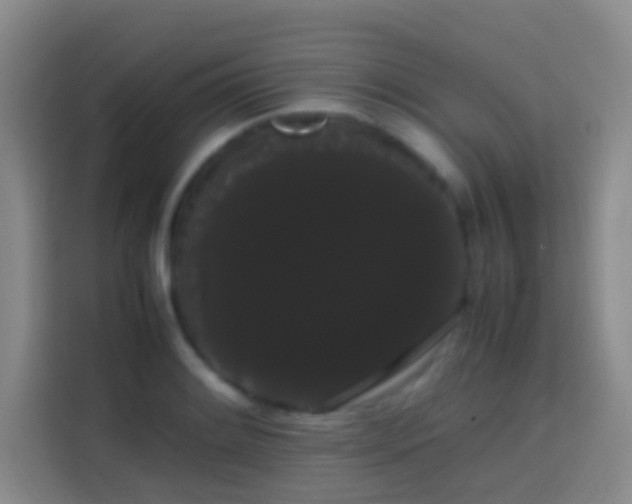 X0000113851084200910010956