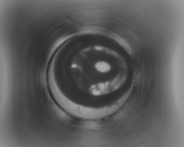 X0000113851086200910010956